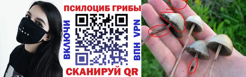 Псилоцибиновые грибы мицелий  Игра 